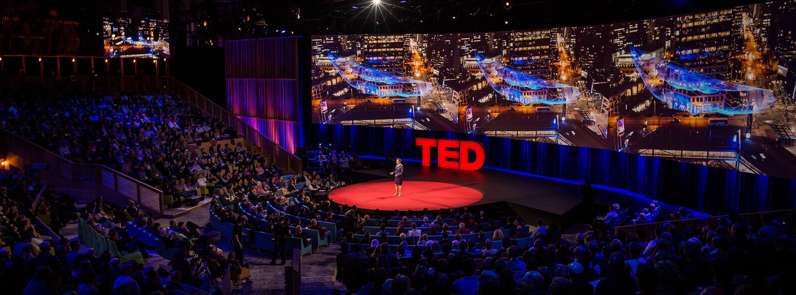 TED2017: My expectations for “The Future You”