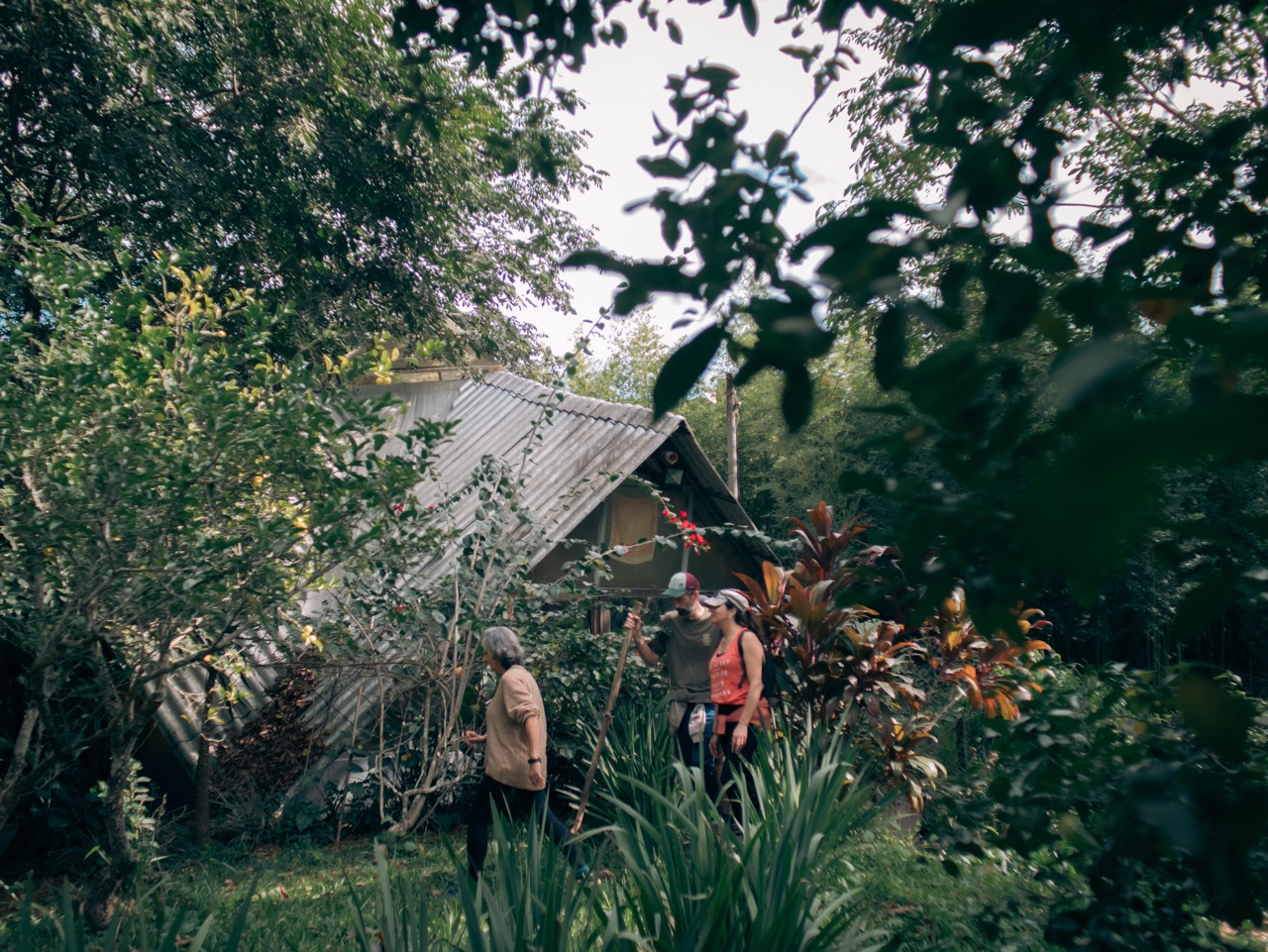 Sinal Dialogues for Bioeconomy